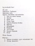 画像2: TURK ISLEMELERINDEN  ORNEKLER｜トルコ刺繍の作品例
