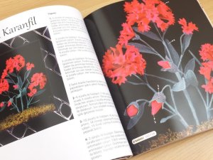 画像5: ムドゥルヌ地方のイーネオヤ