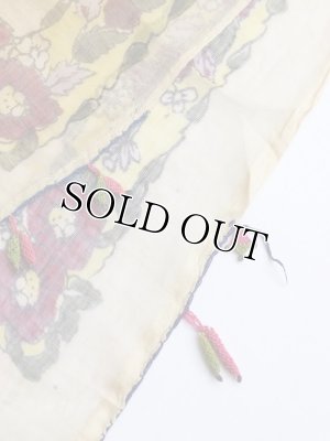 画像7: マルマラ地方｜木版｜アンティークオヤスカーフ・コットン糸｜変なとうがらし