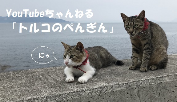 ユーチューブ ユーチューブ