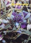 画像1: 再入荷：私たちのトルコ〜文化と芸術誌：２８号：１９７９年・廃刊